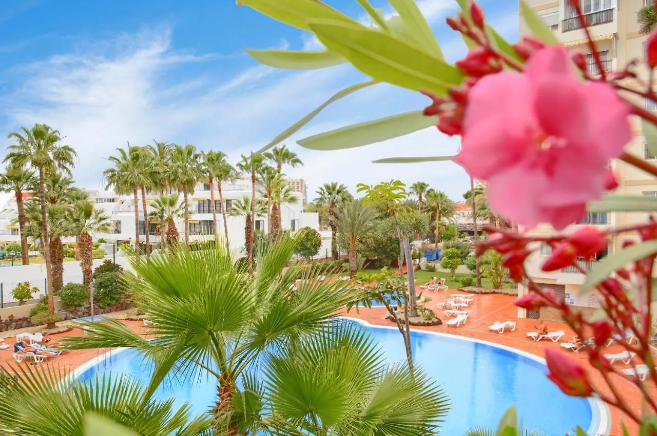 Studio Eldorado In Playa De Las Americas Near The Beach 阿罗纳