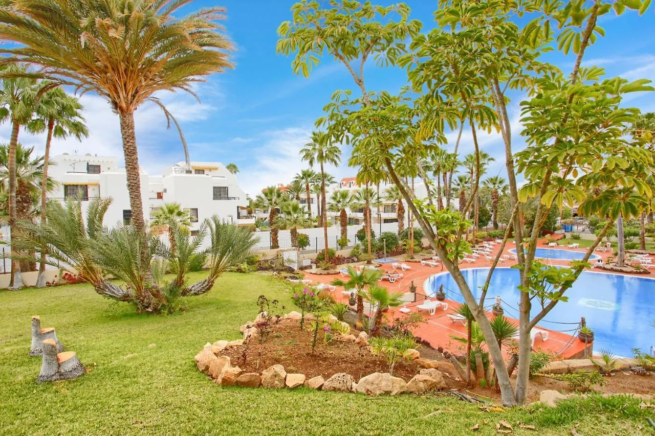 Studio Eldorado In Playa De Las Americas Near The Beach 阿罗纳 西班牙